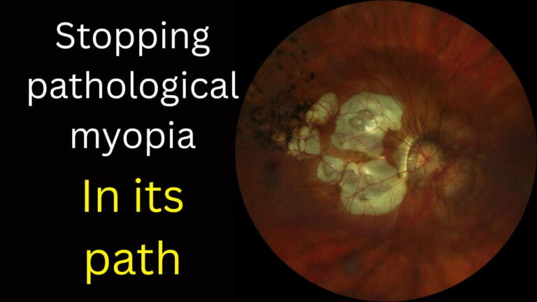 Your paragraph text(2)(1) Your paragraph text(2)(1)